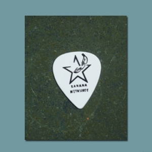 Guitar Pick